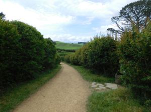 12194662_10207540516169163_5588561275810448228_o