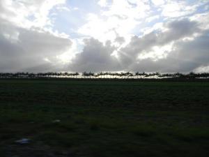 421197_3431453463236_34823235_n