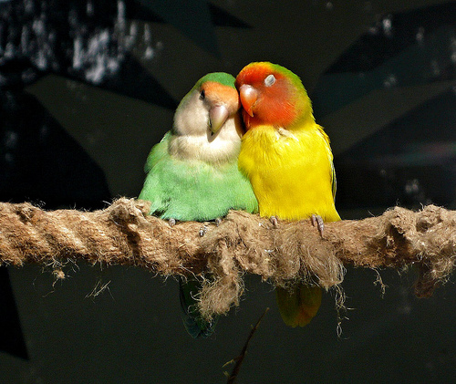 real-love_9-reasons-why-a-relationship-is-worth-fighting-for