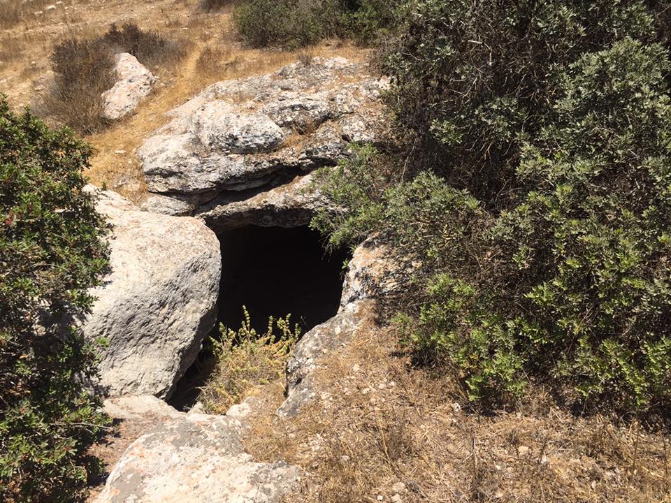 19989604_10213044050674086_1387303708444527981_n