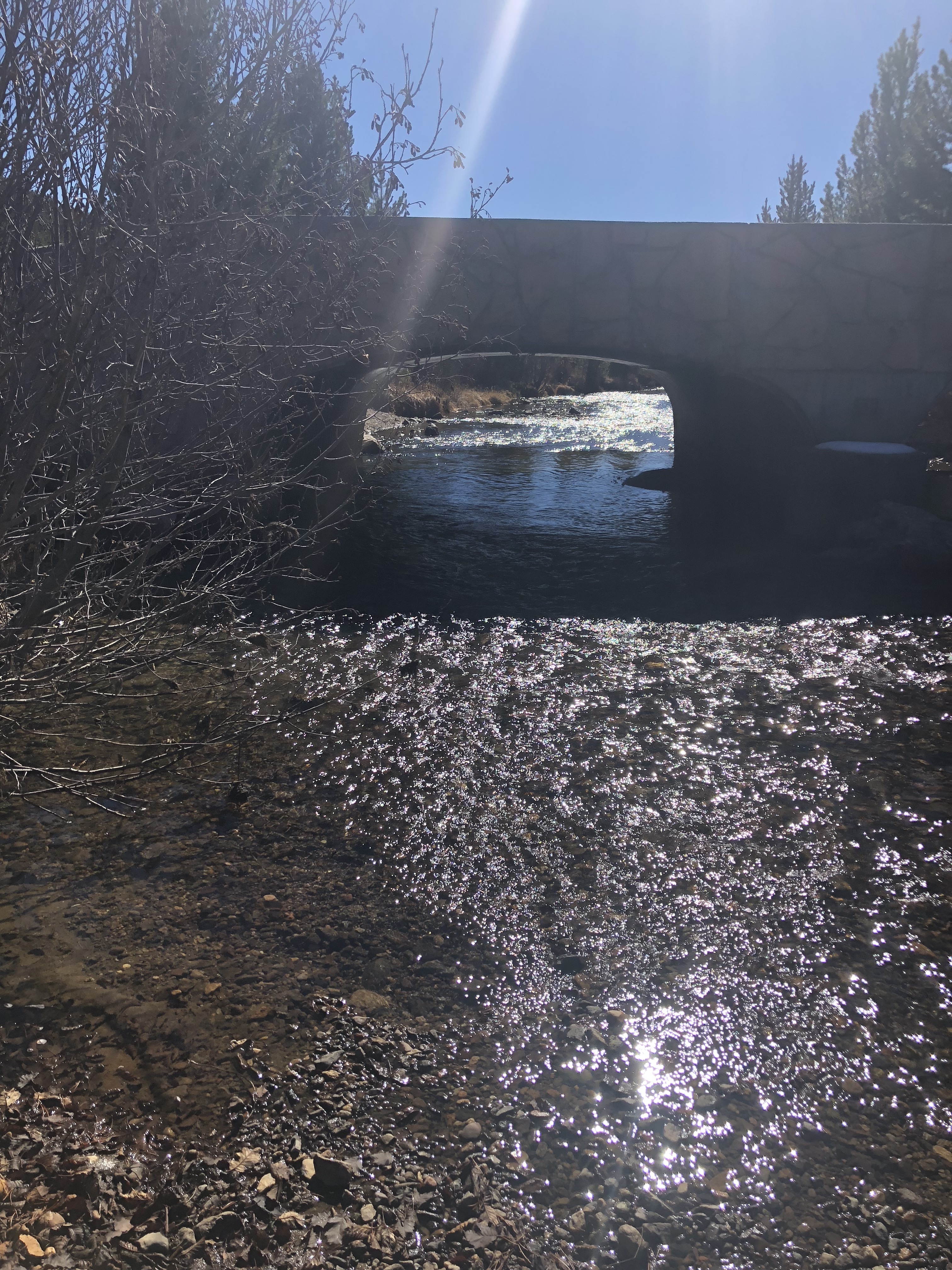 +5lW2duBQdejYdBF1WYDHw