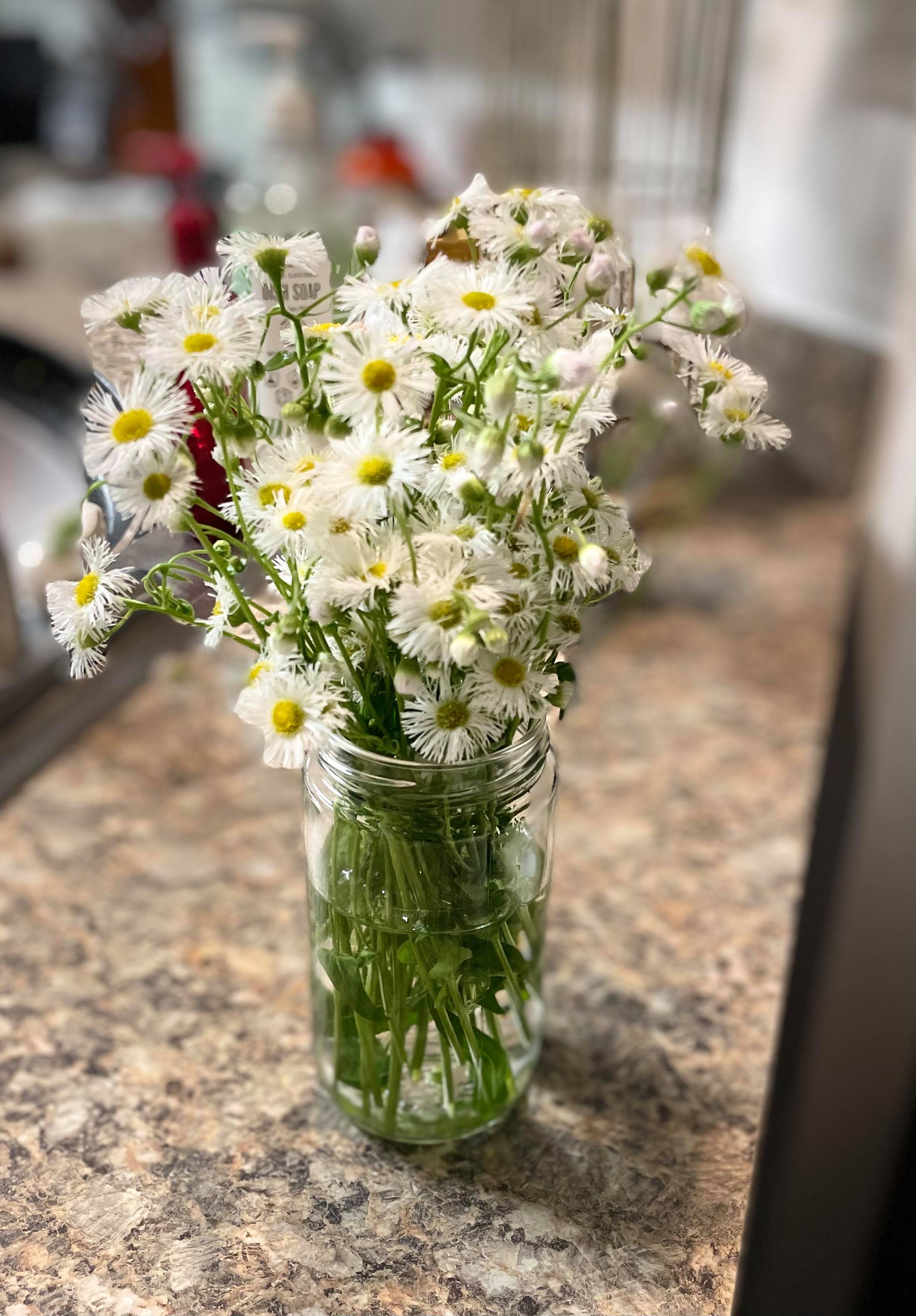 175039864_520187739150070_7909676313421377435_n