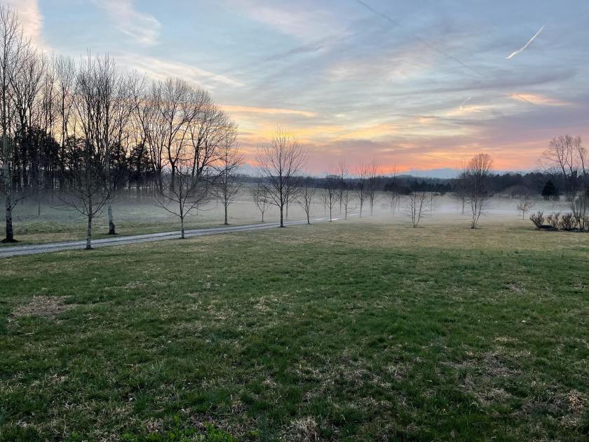 161297085_10224949574384738_6622901978839814299_n